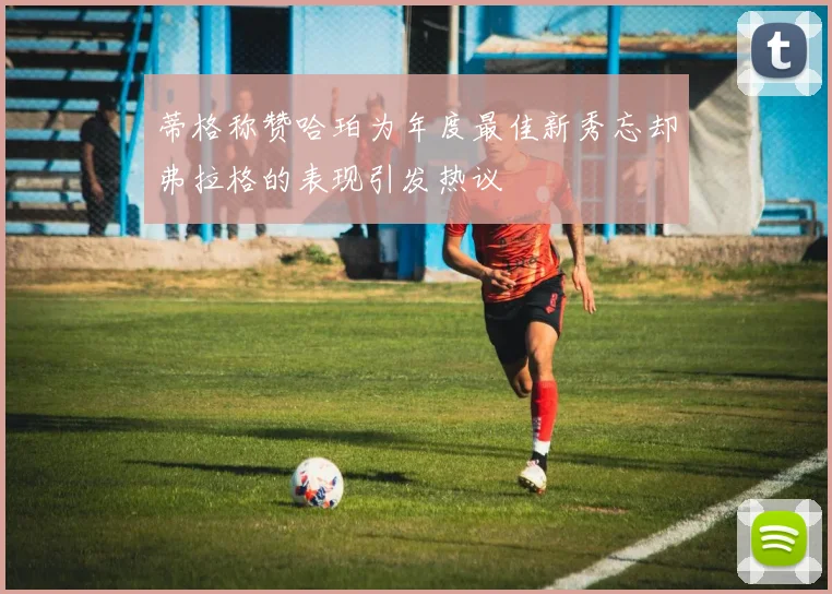 蒂格称赞哈珀为年度最佳新秀忘却弗拉格的表现引发热议