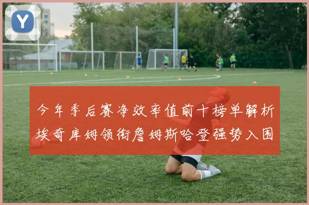 今年季后赛净效率值前十榜单解析埃奇库姆领衔詹姆斯哈登强势入围