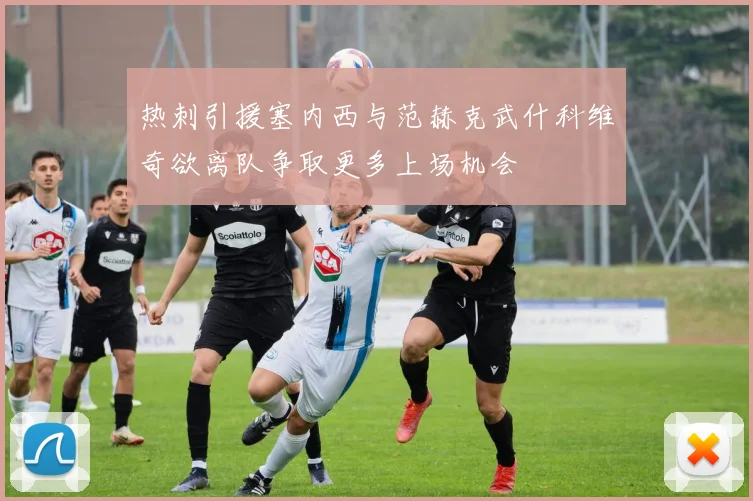 热刺引援塞内西与范赫克武什科维奇欲离队争取更多上场机会